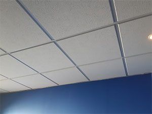 Drop Ceiling Installation Drop Ceiling Installation